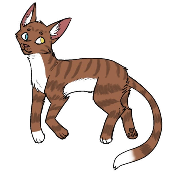 Hypo Kit Design, coloring by me